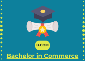 Bachelor in Commerce